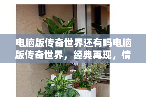 电脑版传奇世界还有吗电脑版传奇世界，经典再现，情怀依旧，经典再现！电脑版传奇世界情怀依旧