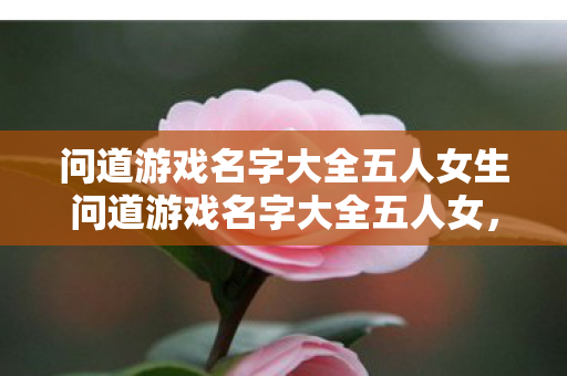 问道游戏名字大全五人女生问道游戏名字大全五人女图片