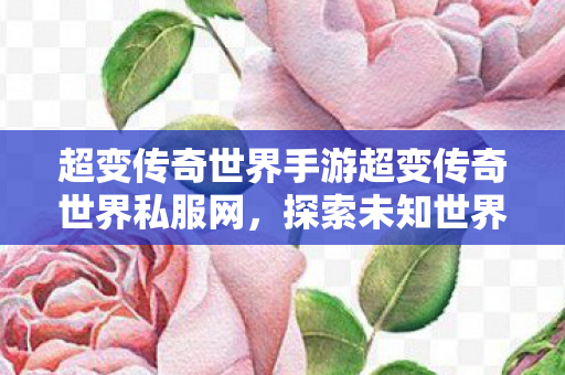 超变传奇世界手游超变传奇世界私服网，探索未知世界的奇妙之旅，超变传奇世界手游，探索未知世界的奇妙之旅