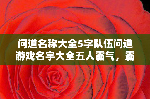 问道名称大全5字队伍问道游戏名字大全五人霸气，霸气五人组问道名称大全