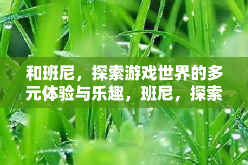 和班尼,探索游戏世界的多元体验与乐趣,班尼,探索游戏世界的多元体验与乐趣 和班尼,探索游戏世界的多元体验与乐趣,班尼,探索游戏世界的多元体验与乐趣