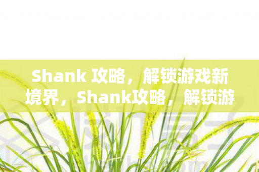 Shank 攻略，解锁游戏新境界，Shank攻略，解锁游戏新境界