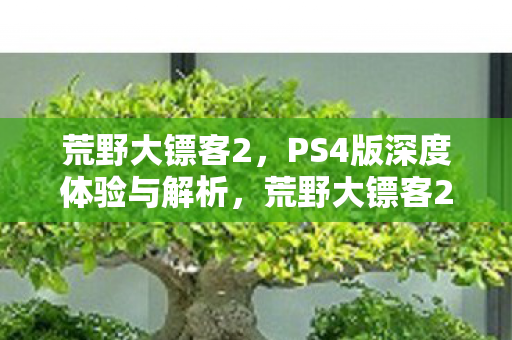 荒野大镖客2，PS4版深度体验与解析，荒野大镖客2PS4版，深度体验与解析