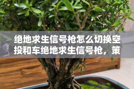 绝地求生信号枪怎么切换空投和车绝地求生信号枪图片