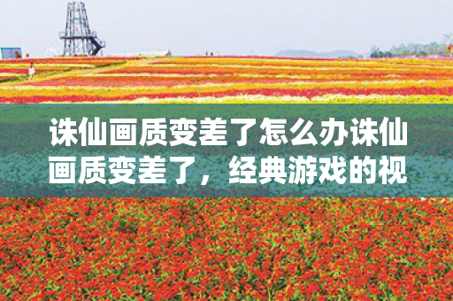 诛仙画质变差了怎么办诛仙画质变差了，经典游戏的视觉衰退与玩家心声，经典游戏诛仙画质衰退，玩家心声，如何拯救视觉体验？