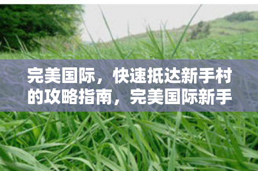 完美国际，快速抵达新手村的攻略指南，完美国际新手村快速抵达攻略指南