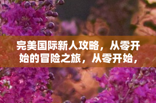 完美国际新人冒险攻略图片