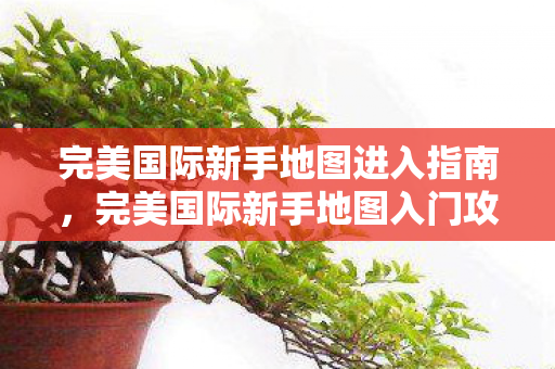 完美国际新手地图进入指南图片