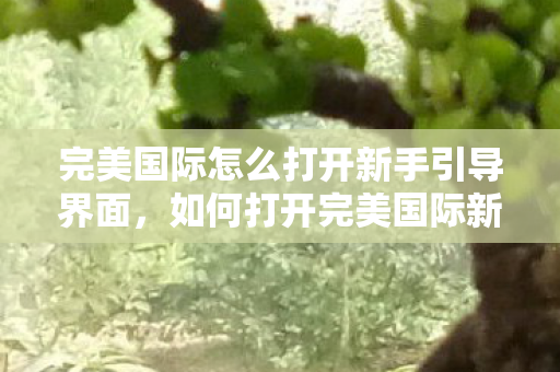 完美国际怎么打开新手引导界面，如何打开完美国际新手引导界面？