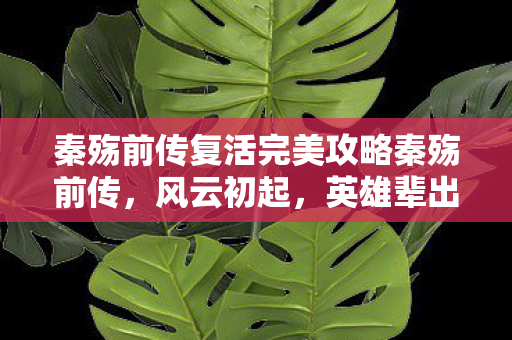秦殇前传复活完美攻略秦殇前传,风云初起,英雄辈出,秦殇前传,风云初起,英雄辈出,完美攻略助你复活 秦殇前传复活完美攻略秦殇前传,风云初起,英雄辈出,秦殇前传,风云初起,英雄辈出,完美攻略助你复活