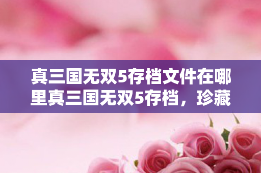 真三国无双5存档文件在哪里真三国无双5存档,珍藏回忆与策略并存的宝贵财富,真三国无双5存档,珍藏回忆与策略并存的宝贵财富 真三国无双5存档文件在哪里真三国无双5存档,珍藏回忆与策略并存的宝贵财富,真三国无双5存档,珍藏回忆与策略并存的宝贵财富