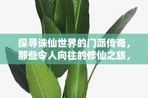 探寻诛仙世界的门派传奇，那些令人向往的修仙之旅，探寻诛仙门派传奇，修仙之旅的向往与追寻