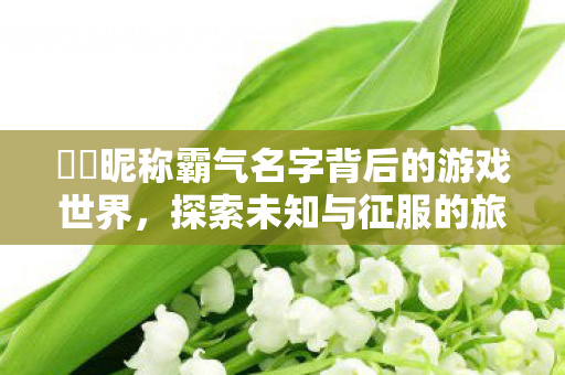 卋罖昵称霸气名字背后的游戏世界，探索未知与征服的旅程，游戏昵称背后的征服之旅，探索未知与冒险的旅程