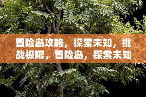 冒险岛攻略,探索未知,挑战极限,冒险岛,探索未知,挑战极限的攻略指南 冒险岛攻略,探索未知,挑战极限,冒险岛,探索未知,挑战极限的攻略指南