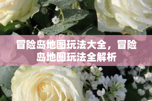 冒险岛地图玩法大全，冒险岛地图玩法全解析