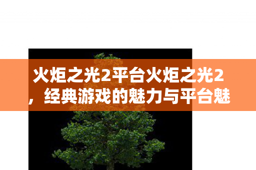 火炬之光2平台火炬之光2,经典游戏的魅力与平台魅力,火炬之光2平台魅力与经典游戏魅力展现 火炬之光2平台火炬之光2,经典游戏的魅力与平台魅力,火炬之光2平台魅力与经典游戏魅力展现