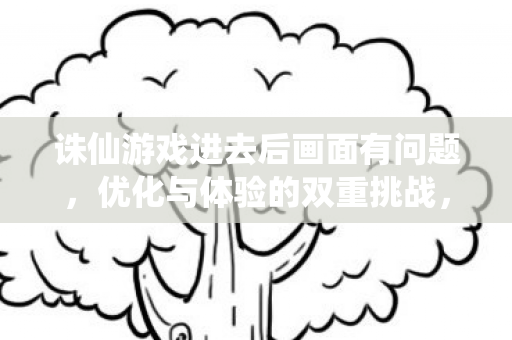 诛仙游戏进去后画面有问题，优化与体验的双重挑战，诛仙游戏，优化与体验的双重挑战