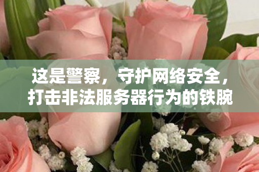 这是警察,守护网络安全,打击非法服务器行为的铁腕行动,铁腕行动,警察守护网络安全,打击非法服务器行为 这是警察,守护网络安全,打击非法服务器行为的铁腕行动,铁腕行动,警察守护网络安全,打击非法服务器行为