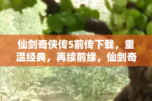 仙剑奇侠传5前传重温经典图片