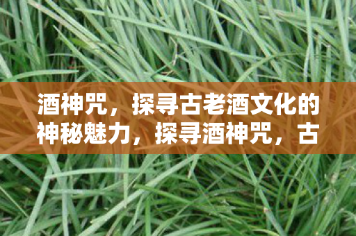 酒神咒,探寻古老酒文化的神秘魅力,探寻酒神咒,古老酒文化的神秘魅力 酒神咒,探寻古老酒文化的神秘魅力,探寻酒神咒,古老酒文化的神秘魅力
