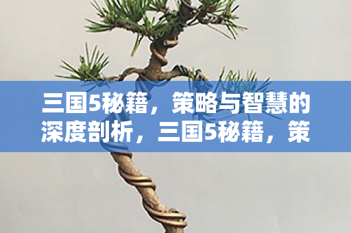三国5秘籍，策略与智慧的深度剖析，三国5秘籍，策略与智慧的深度剖析