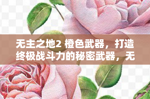 无主之地2 橙色武器，打造终极战斗力的秘密武器，无主之地2橙色武器，打造终极战斗力的秘密武器