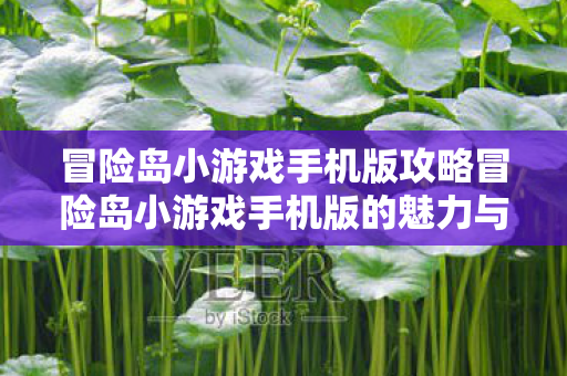 冒险岛小游戏手机版攻略冒险岛小游戏手机版的魅力与探索图片