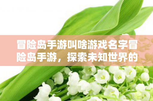 冒险岛手游叫啥游戏名字冒险岛手游图片