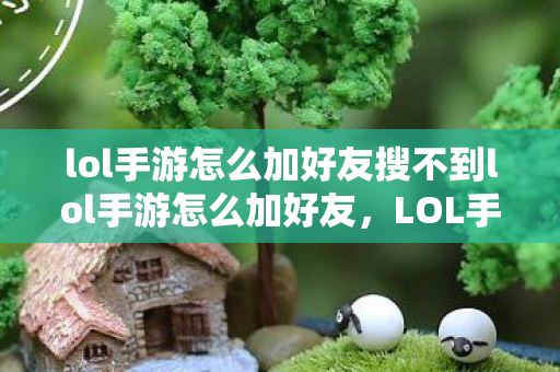lol手游怎么加好友搜不到lol手游怎么加好友，LOL手游如何添加好友，解决搜索不到的问题