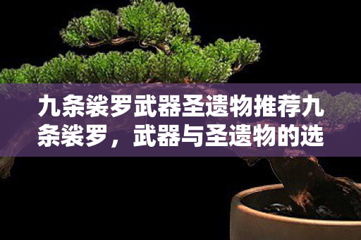 九条裟罗武器圣遗物推荐九条裟罗，武器与圣遗物的选择策略，九条裟罗武器圣遗物选择策略