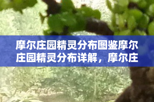 摩尔庄园精灵分布图鉴摩尔庄园精灵分布详解，摩尔庄园精灵分布图鉴，详解精灵分布