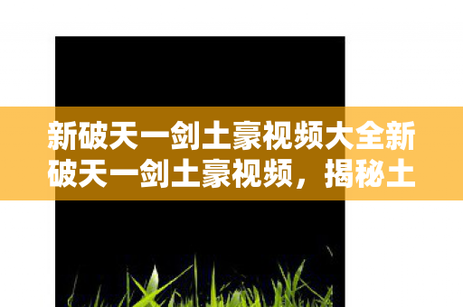 揭秘新破天一剑土豪玩家的极致装备与豪华阵容图片