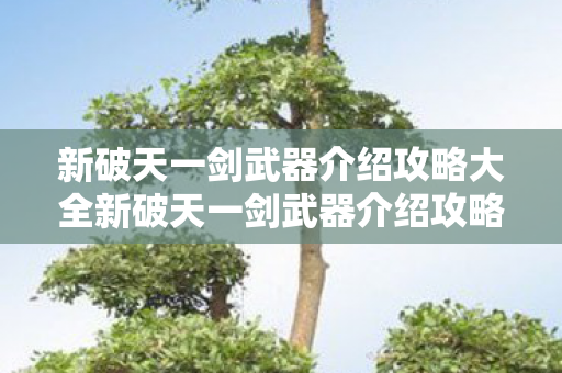 新破天一剑武器介绍攻略大全新破天一剑武器介绍攻略图片