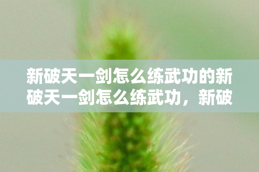 新破天一剑怎么练武功的新破天一剑怎么练武功图片