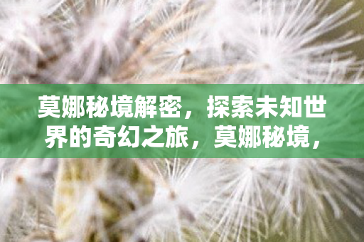 莫娜秘境解密，探索未知世界的奇幻之旅，莫娜秘境，奇幻之旅探索未知世界