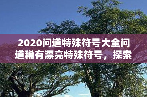 2020问道特殊符号大全问道稀有漂亮特殊符号，探索游戏世界的独特魅力，探索游戏世界的独特魅力，2020问道特殊符号大全