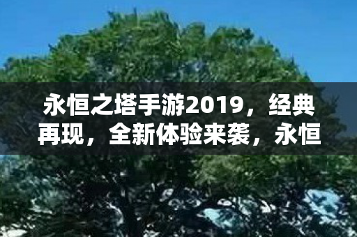 永恒之塔手游2019图片