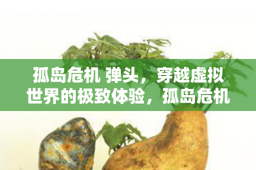 孤岛危机 弹头，穿越虚拟世界的极致体验，孤岛危机，弹头带你穿越虚拟世界，感受极致游戏体验