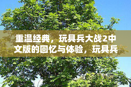 重温经典，玩具兵大战2中文版的回忆与体验，玩具兵大战2中文版，重温经典，回忆与体验