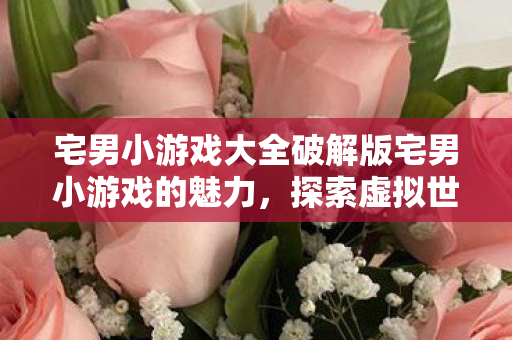 宅男小游戏大全破解版宅男小游戏的魅力，探索虚拟世界的乐趣，宅男小游戏大全破解版，探索虚拟世界的无限魅力