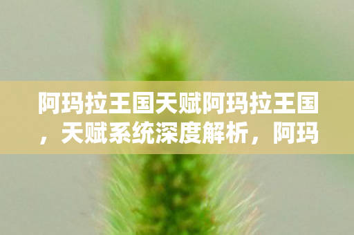 阿玛拉王国天赋阿玛拉王国,天赋系统深度解析,阿玛拉王国,天赋系统深度解析 阿玛拉王国天赋阿玛拉王国,天赋系统深度解析,阿玛拉王国,天赋系统深度解析