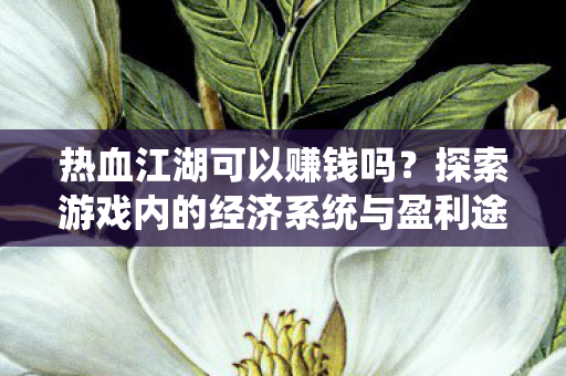 热血江湖可以赚钱吗？探索游戏内的经济系统与盈利途径，热血江湖，探索游戏内经济系统与盈利途径