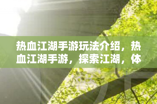 热血江湖手游玩法介绍图片