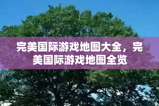 完美国际游戏地图大全图片