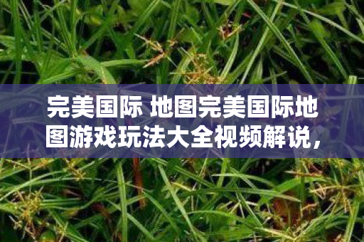 完美国际 地图完美国际地图游戏玩法大全视频解说,完美国际地图游戏玩法大全视频解说 完美国际 地图完美国际地图游戏玩法大全视频解说,完美国际地图游戏玩法大全视频解说