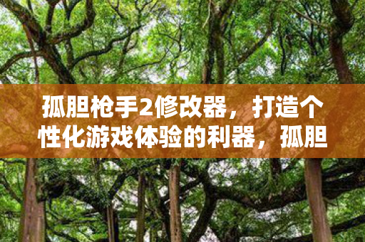 孤胆枪手2修改器,打造个性化游戏体验的利器,孤胆枪手2修改器,打造个性化游戏体验的利器 孤胆枪手2修改器,打造个性化游戏体验的利器,孤胆枪手2修改器,打造个性化游戏体验的利器