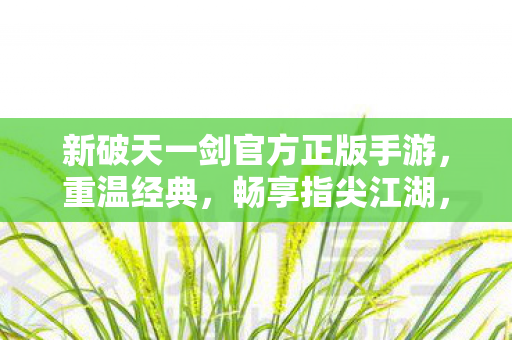新破天一剑官方正版手游图片