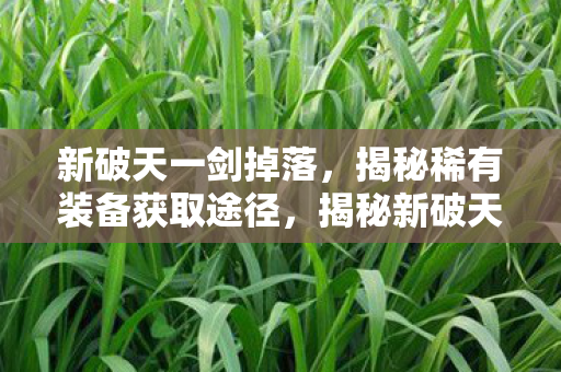 新破天一剑掉落，揭秘稀有装备获取途径，揭秘新破天一剑稀有装备获取途径