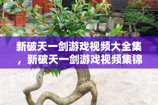 新破天一剑游戏视频大全集图片