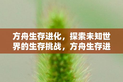 方舟生存进化，探索未知世界的生存挑战，方舟生存进化，探索未知世界的生存挑战之旅